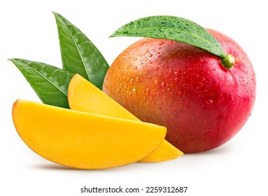 Mango leaves with Clipping Path isolated on a white background. Mango collection