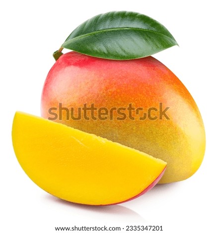 Mango leaves with Clipping Path isolated on a white background. Mango collection