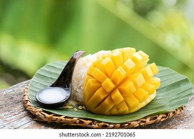 Mango Sticky Rice on nature background.