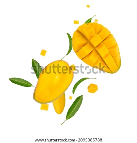 Mango tropical fruit with green leaves and cube isolated white background