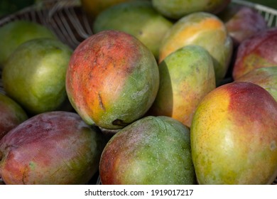 Mango Variant, Tropical Fruit Of Natural And Wild Production