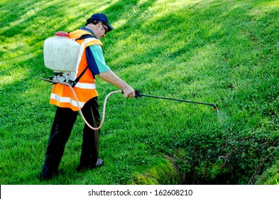 MANGONUE, NZ - OCT 05 2013:Manuel Worker Sprays Weeds In Public City Garden.New Zealand Is Among The Countries Experiencing A Rapid Rise In Bed Bug Infestations.