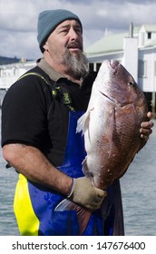 MANGONUI, NZ - JULY 25 2013:Mature Adult Fisherman Holding A Very Large Snapper.NZ Exclusive Economic Zone Covers 4.1 Million Km2,It's The 6th Largest Zone In The World And 14 Times The Size Of NZ.