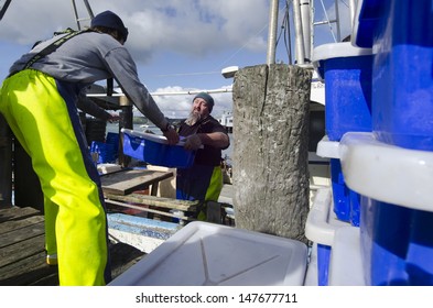 MANGONUI, NZ- JULY 25:Fishermen Carry Box Full Of Fresh Fish In Ice On July 25 2013.NZ Exclusive Economic Zone Covers 4.1 Million Km2,It's The 6th Largest Zone In The World And 14 Times The Size Of NZ