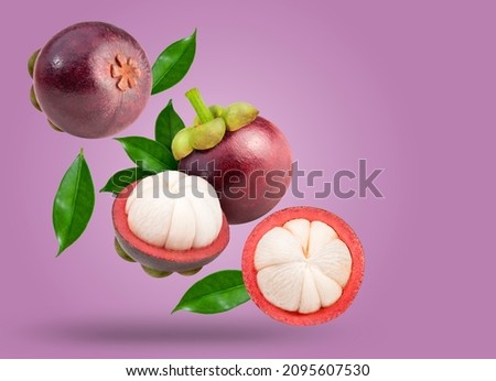 Mangosteen with leaves falling in the air isolated on purple background, Mangosteen on purple background With clipping path.