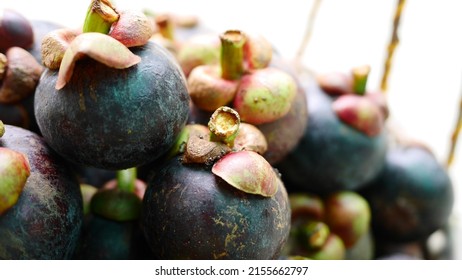 Mangosteen, A Very Tasty Fruit. And Is Considered The Queen Of Thai Fruits