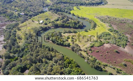Mangroove view / New Caledonia