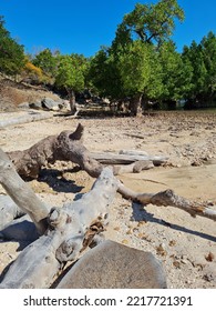 Mangrove Beach In Rote Island East Nusa Tenggara Indonesia