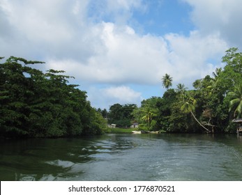 Mangrove And Bentota River Views In Sri Lanka