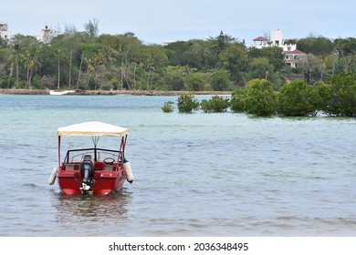 Mangrove And Boat Landscape Of Kenya