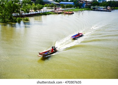 mangrove forest
