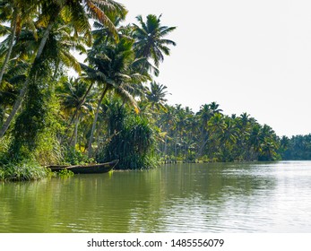 390 Mangroves kerala Images, Stock Photos & Vectors | Shutterstock