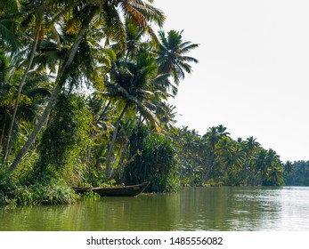 390 Mangroves Kerala Images, Stock Photos & Vectors 