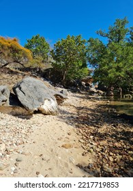 Mangrove Forest In Rote Island East Nusa Tenggara Indonesia