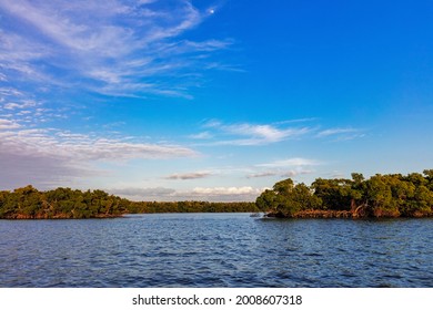 Mangrove Island At Ten Thousand Islands National Wildlife Refuge In Everglades National Park, Florida, USA