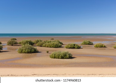 Mangrove Port Hedland