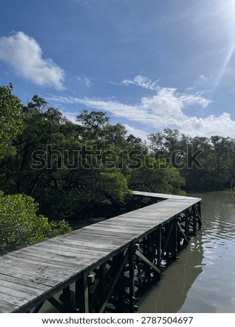Mangrove tracking in Denpasar refers to exploring the expansive Tahura Ngurah Rai Forest Park via raised wooden boardwalks.