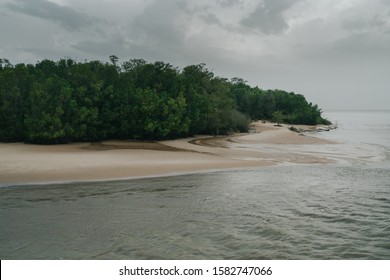 Mangrove Trees During Low Tide In Marajó, Brazil