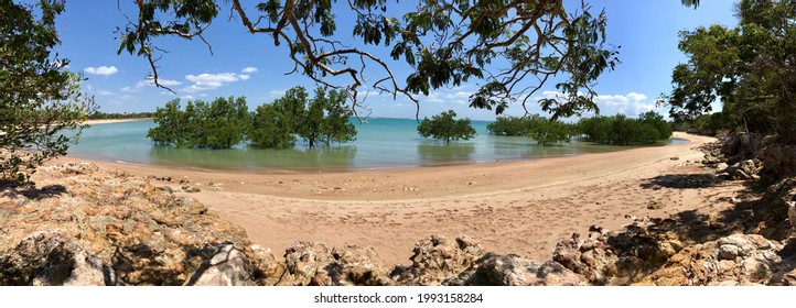 Mangroves Along The Coast In Darwin, Northern Territory