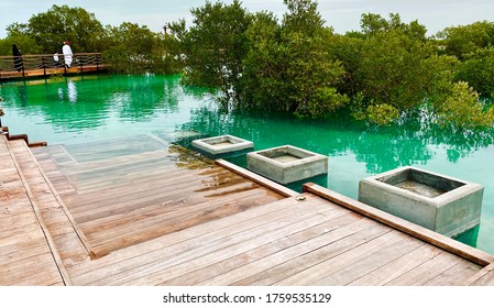 The Mangroves Area In Abu Dhabi