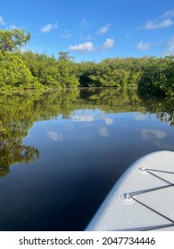 Mangroves and blue sky at JN Ding Darling National Wildlife Refuge - Shutterstock ID 2047734446