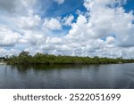 The mangroves of Fullerton Island in Jupiter, Florida, USA