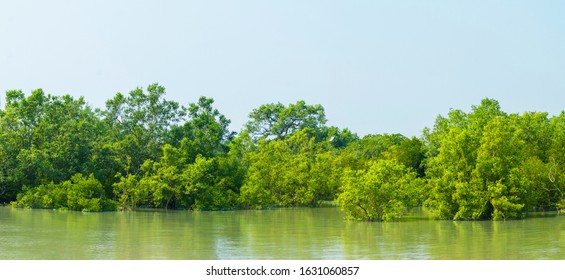 ganges delta