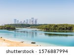 Mangroves situated in Abu Dhabi. Mangrove national park. United Arab Emirates. UAE