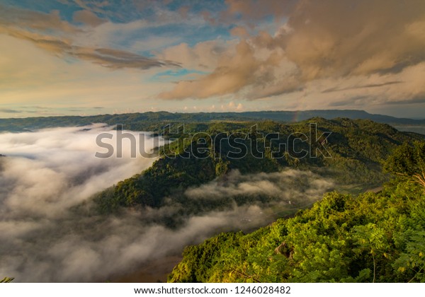 Mangunan Pine Forest Yogyakarta Indonesian Kebun Stock Photo