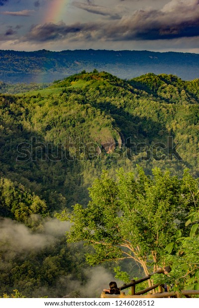 Mangunan Pine Forest Yogyakarta Indonesian Kebun Stock Photo