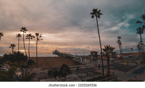 Manhattan Beach Pier View And Tall Palms