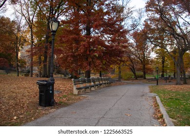 Manhattan, New York, November, 2017: Benches, Light Pole And Trash Can On A Side Of Walkway At Central Park In Autumn