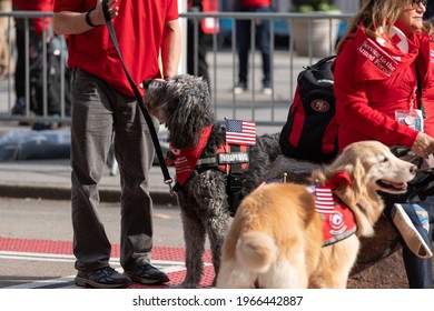 Manhattan, New York, USA - November 11. 2019: Red Cross Therapy Dog With Harness And USA Flags. Veterans Day Parade In NYC
