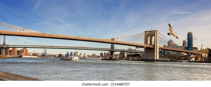 Manhattan, NY, US - January 15, 2022: A Seagull Flies In Front Of The Brooklyn Bridge As Seen From South Street Seaport, NYC  