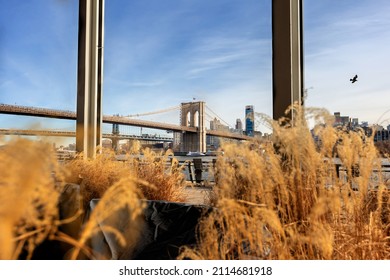 Manhattan, NY, US - January 15, 2022: The Brooklyn Bridge Seen From South Street Seaport, NYC 