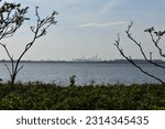 Manhattan Skyline in Distance View from Jamaica Bay Wildlife Refute