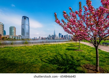 Manhattan Skyline From New Jersey Shore - Liberty State Park.