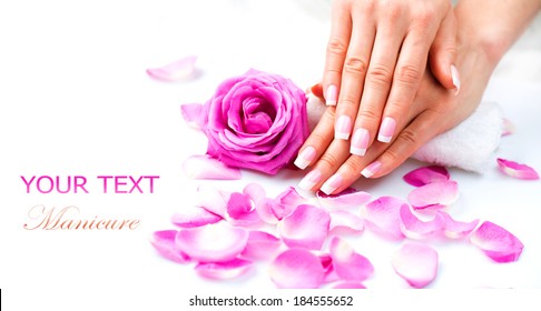 Manicure And Hands Spa. Beautiful Woman Hands Closeup. Manicured Nails And Soft Skin. Beauty Hands With Rose Flower Petals. Beauty Treatment. Beautiful Woman's Nails With Beautiful French Manicure 