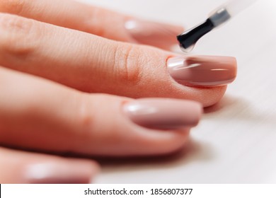 Manicure process. Manicurist paints fingernails. Nail polish. - Shutterstock ID 1856807377
