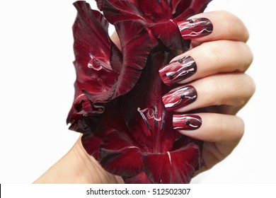 Manicure and white wavy lines black rhinestones   smooth transition from dark maroon to bright colors nail Polish square shape   gladiolus in female hand 