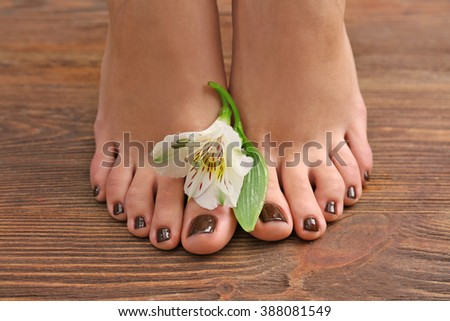 Manicured female feet with flower on wooden background