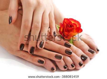 Manicured female feet and hand with flower  isolated on white
