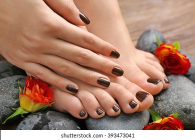 Manicured female feet and hand with flowers on spa stones closeup