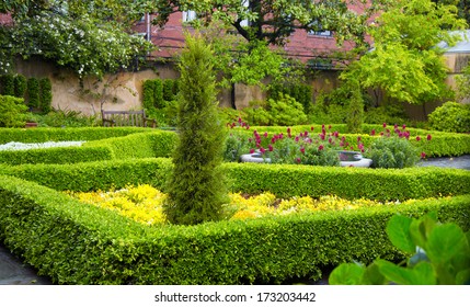 Manicured Hedges And Trees In A Residential Garden.