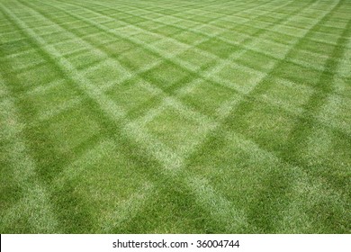 Manicured lawn professionally cut in a diamond pattern