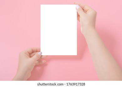 Manicured Woman's Hands Holding Postcard On Pink Background. Plain Card Or Empty Sheet Of Paper Mock Up Template.