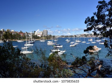 Manly buildings skyline from Wellings Reserve. Many yachts in North Harbour at Fourty Baskets Beach. Manly to Spit Bridge Walkway. - Shutterstock ID 1075835633