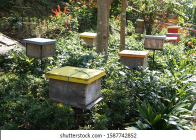 Man-made Bee Nests Made Of Timber. Designed In Box Form. Placed In A Flower Garden To Help Bees Get Honey.

