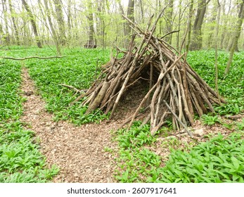 Man-made structure constructed from interwoven branches in a forest setting, blending with natural surroundings.