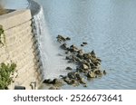 manmade waterfall runoff into lake rocks